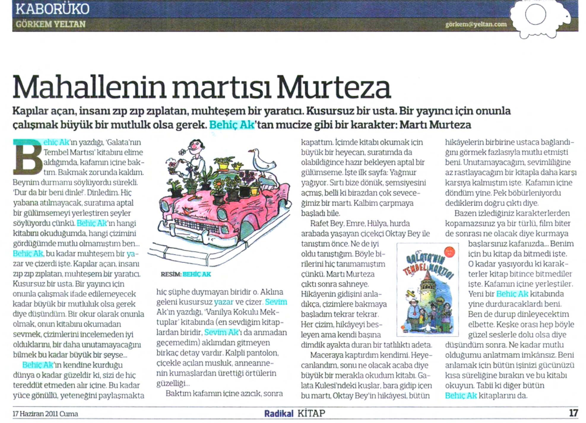 170611-RadikalKitap