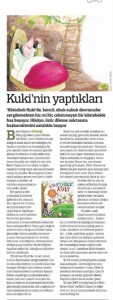 301211-radikalkitap