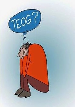 Ben bir TEOG annesiyim!