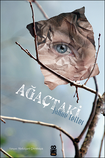 Ağaçtaki